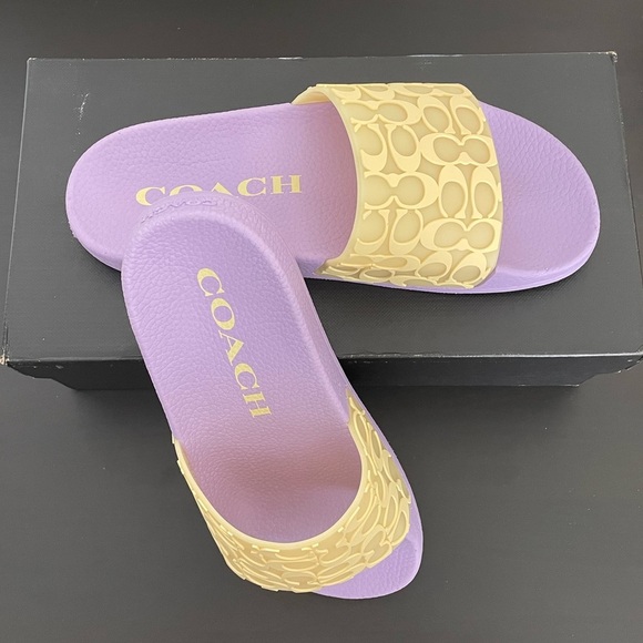 Coach Slides - Picture 4 of 5